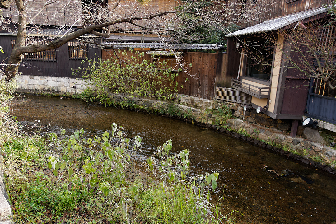 Gion
