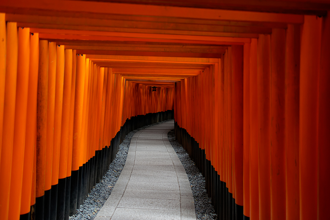 Fushimi inari
