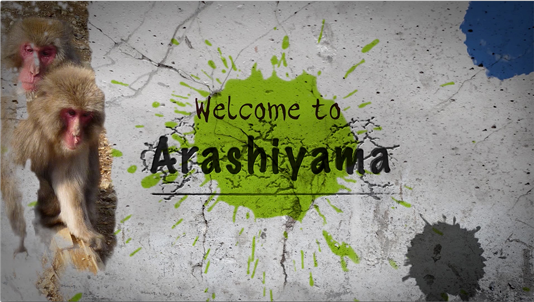 Welcome to arashiyama