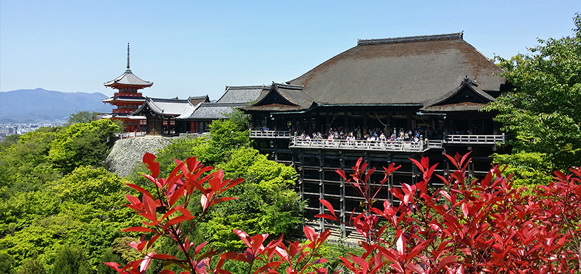 Printemps à kyoto (Avril 2016)